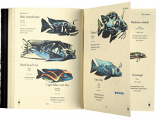 デジタルグラフィック／イラスト部門　ゴールド賞　THE ULTRA FISH COLLECTION