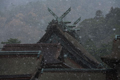 出雲大社本殿　石橋睦美