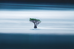 写真：© 米津 光