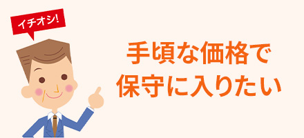 手頃な価格で保守に入りたい