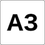 A3