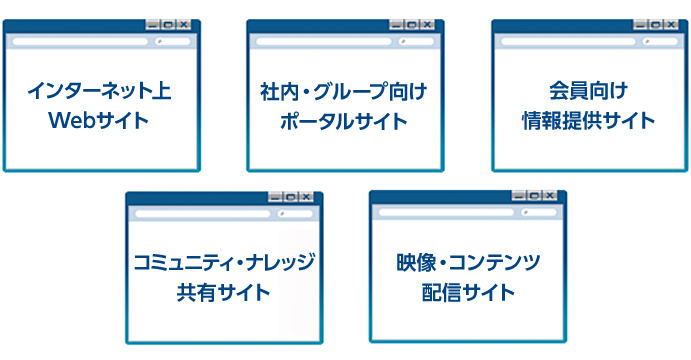 インターネット上Webサイト/社内・グループ向けポータルサイト/会員向け情報提供サイト/コミュニティ・ナレッジ共有サイト/映像・コンテンツ配信サイト