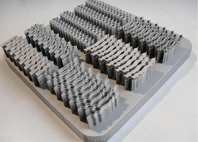 サンプルの写真