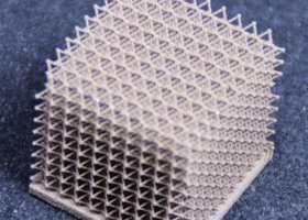 サンプルの写真