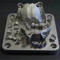 サンプルの写真