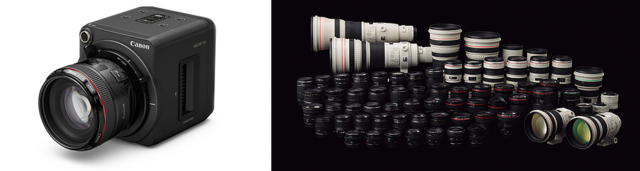 写真:豊富なラインアップのEFレンズ