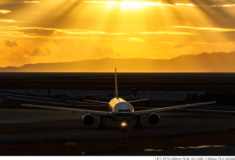 (♯1)EF70-200mm F2.8L IS Ⅱ USM 1/400sec F6.3 ISO400