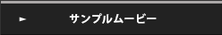 サンプルムービー