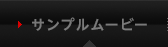 サンプルムービー