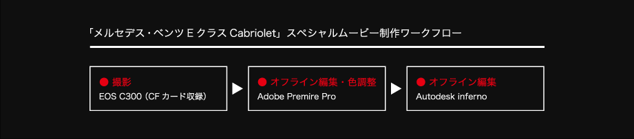 図：ワークフロー