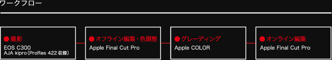 図：ワークフロー