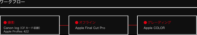 図：ワークフロー