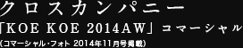 クロスカンパニー「KOE　KOE 2014AW」コマーシャル コマーシャル・フォト(2014年11月号掲載)