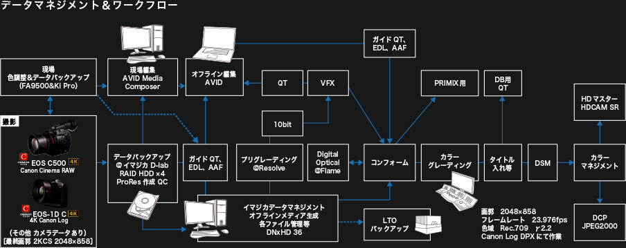 データマネジメント&ワークフロー