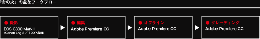 「命の火」の主なワークフロー