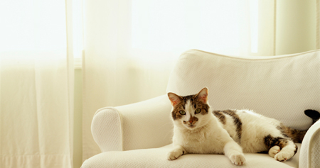 画像：一般的なHDRディスプレイ