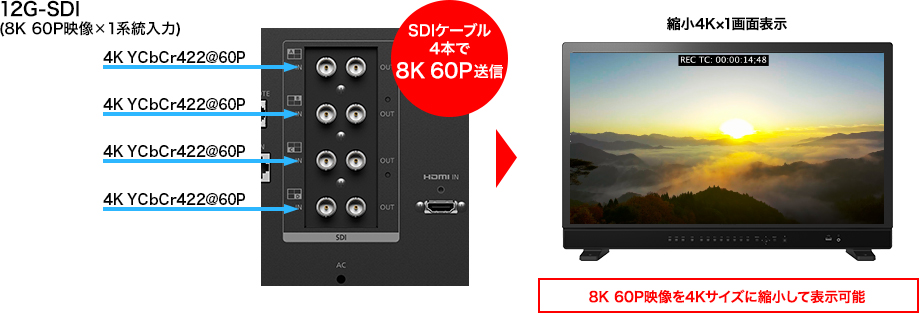 画像:8K 60P映像×1系統入力