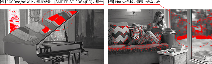 画像:オーバーレンジ/2020色域外表示