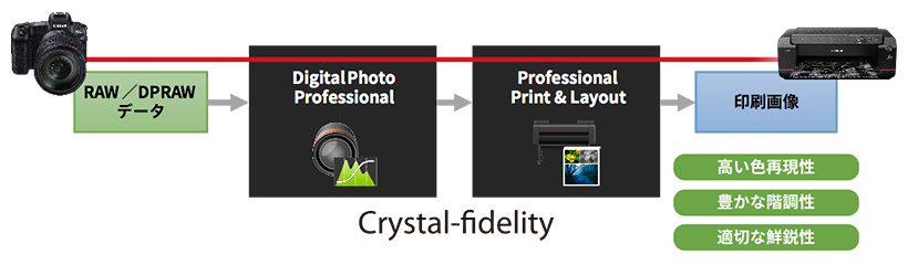 RAW/DPDRAW データ→Crystal-findelity(Digital Photo Professional→Professional Print&Layout)→印刷画像:高い色再現性/豊かな階調性/適切な鮮鋭性