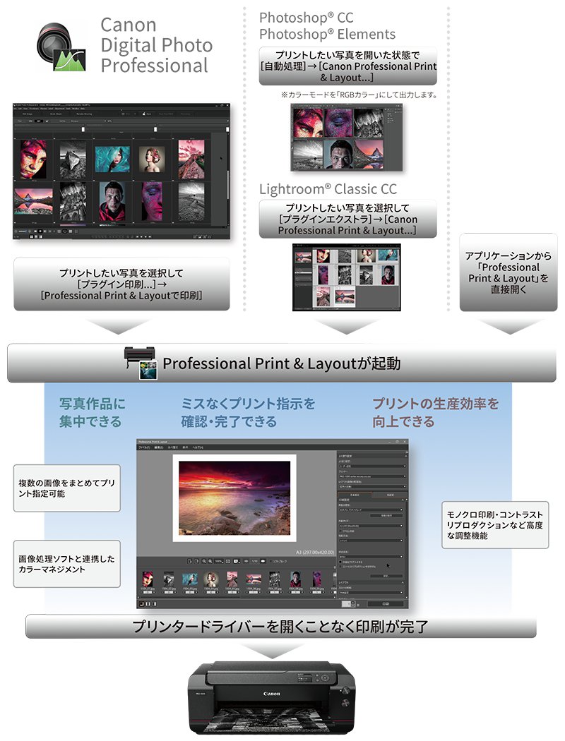 Canon Digital Photo Professional:プリントしたい写真を選択して「プラグイン印刷…」→「Professional Print&Layoutで印刷」/ Photoshop® CC、Photoshop® Elements:プリントしたい写真を開いた状態で「自動処理」→「Canon Professional Print&Layout…」 ※カラーモードを「RGBカラー」にして出力します。/Lightroom® Classic CC:プリントしたい写真を選択して「プラグインエクストラ」→「Canon Professional Print&Layout…」/アプリケーションから「Professional Print&Layout」を直接開く→Professional Print&Layoutが起動:1.写真作品に集中できる(複数の画像をまとめてプリント指定可能/画像処理ソフトと連携したカラーマネジメント)、2.ミスなくプリント指示を確認・完了できる、3.プリントの生産効率を向上できる(モノクロ印刷・コントラストリプロダクションなど高度な調節機能)