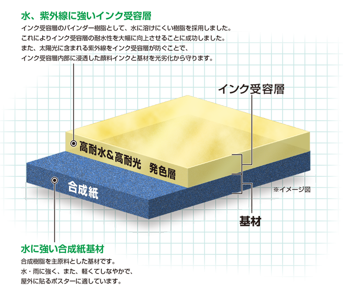水、紫外線に強いインク受容層:インク受容量のバインダー樹脂として、水に溶けにくい樹脂を採用しました。これによりインク受容量の耐水性を大幅に向上させることに成功しました。また、太陽光に含まれる紫外線をインク受容層が防ぐことで、インク受容層内部に浸透した顔料インクと基材を光劣化から守ります。水に強い合成紙基材:合成樹脂を主原料とした基材です。水・雨に強く、また、軽くてしなやかで、屋外に貼るポスターに適しています。