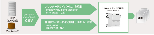 ERP(SAPなど) データベース ファイル/API インターフェイス CSV→プリンタードライバーによる印刷:imageWARE From Manager、Interstageなど/独自ドライバーによる印刷(LIPS IV、PS):SVF / RDE、OpenPrintなど→imageRUNNER ADVANCE→帳票