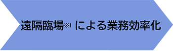 遠隔臨場※1による業務効率化
