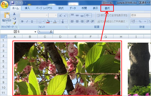 1. 次にサンプルファイルを開きます。画像のどれかひとつを左クリックで選択すると、「書式」タブが表示されます。