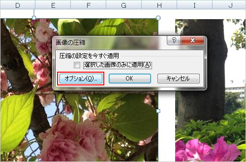 3. 「図の圧縮」ウィンドウが開きます。今回はすべての画像に圧縮を適用したいので、「選択した画像のみに適用」にはチェックせず、「オプション」をクリックします。