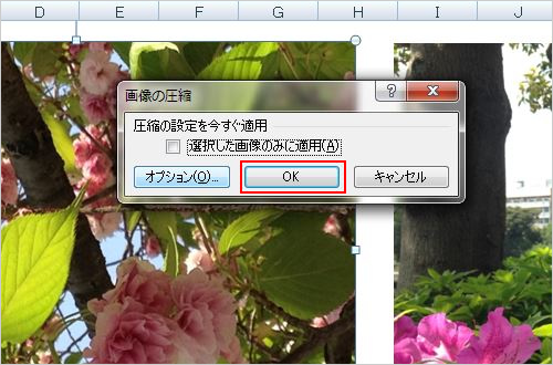 5. 「画像の圧縮」画面を「OK」ボタンで閉じます。