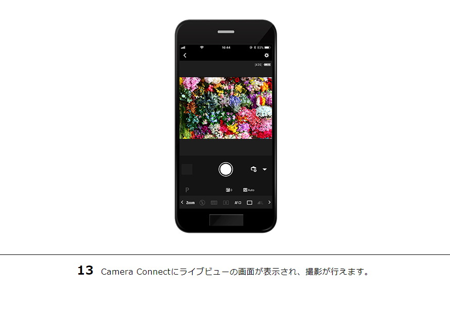 13 Camera Connectにライブビューの画面が表示され、撮影が行えます。