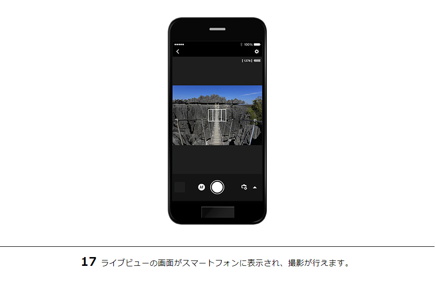 17ライブビューの画面がスマートフォンに表示され、撮影が行えます。