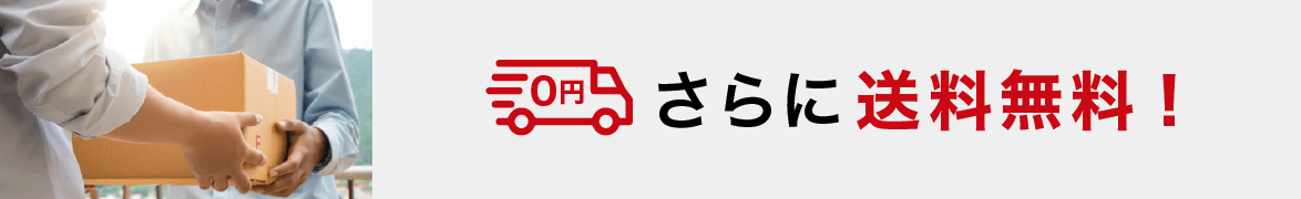 さらに送料無料!